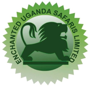 co_logo